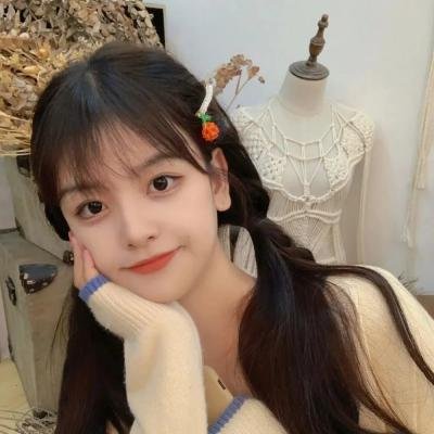 凤舞龙翔